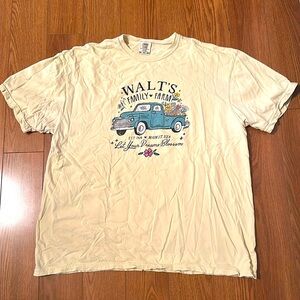 PixieLee Disney themed shirt